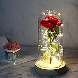 Die Schöne und die Biest Rose, Ewige Rose in Transparente Kuppel,Geschenk für Muttertag, Jubiläum, Geburtstag, Valentinstag, Zimmer Dekor
