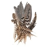 Jortmrd 30 Stück Fasanenfedern 12-20 cm Natur Federn zum Basteln Natürliche Truthahnfedern Naturfedern Bastelfedern für DIY Traumfänger Kostüm Karneval Maske Hochzeit Party Dekoration (3 Stile)