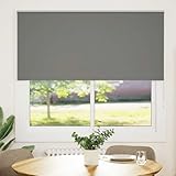 Owoxanthellate Verdunkelungsrollo Grau 150x150 cm ohne Bohren Klemmfix Sichtschutz Thermostoff 100% Polyester Modernes Design für Wohnzimmer Schlafzimmer Büro