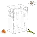 Terrarium für Spinnen - Acryl Durchsichtig Behälter Habitat Höhlenzone - Terrarium für Reptilien | Für Reptilien, Fische, Schildkröten, Bartagamen, Schlangen, Landschildkröten, Geckos und Einsiedlerkr