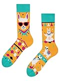 Dedoles Socken Unisex Damen Herren & Kinder Baumwolle viele lustige Designs 1 Paar Geschenk links rechts verschieden, Farbe Gelb, Motiv Cooles Lama, Gr. 35-38
