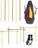 SPORTIKEL24 Superhund Agility-​Set Slalom & HÜRDEN - Robustes Agility-Trainingsequipment für Hunde - Slalomstange & Hürden - Ideal für Agility-Hundesport