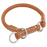 Schnüffelfreunde Retriever Halsband für Hunde mit Zugstopp aus Leder I Erziehungshalsband I Dressurhalsband I Lederhalsband Hund (L - 37-45cm, Beige)