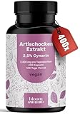Artischockenextrakt Hochdosiert - 400 Kapseln - 2.400 mg pro Tagesdosis davon 60mg Cynarin - - Artischocken Extrakt hochdosiert, Artischocke - Vegan und produziert in Deutschland