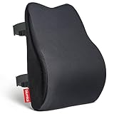 Blumtal ergonomisches Rückenkissen aus Memory Foam - stützendes Lendenwirbelkissen + OEKO-TEX zertifiziertem Bezug - Rückenlehne Kissen mit Verschluss - Rückenstütze - Rückenstützkissen - Lendenkissen