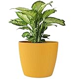 KONZEPT Blumentopf 5,2 l, gerillte Struktur 22 cm, Übertöpfe für Zimmerpflanzen aus Kunststoff ideal für Wohnzimmer, Küche und Balkon