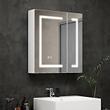 Mepplzian LED-Badezimmerschrank mit Spiegel 2-Türiger Beleuchteter Spiegelschrank mit Beschlagschutz, Badezimmerspiegelschrank zur Wandmontage mit Stauraum, 3 Lichtfarben, DE-Stecker 60x13.5x65 cm