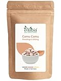 Camu Camu Tabletten 1000 Presslinge | Hochdosiert 4000mg Tagesdosis | 250mg Tabs natürliches Vitamin C in Rohkost-Qualität