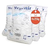 Höfer Chemie 4 x 25 kg (100 kg) Regenit® Siedesalztabletten zur Regenerierung von Wasserenthärtungsanlagen