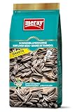 MERAY Dakota Sonnenblumenkerne Geröstet & Ungesalzen 250g