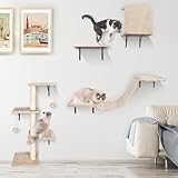 HEVOL Katzen Kletterwand, 10-Teiliges Kletterwand Katzen Set, Stabiler Katzenmöbel mit Katzenbaum, Hängematte,Katzenliege und Katzenhaus für Katze Schlafen Spielen Lounging