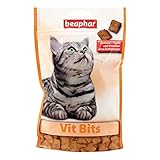 beaphar VIT Bits - Für Katzen - Zur Unterstützung der täglichen Vitaminversorgung - Katzensnacks - 1er Pack (1 x 150 g)