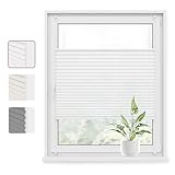 WOLTU Plissee Klemmfix ohne Bohren 75x220cm (BxH) Weiß Faltrollo Plisseerollo mit Klemmträger Lichtdurchlässig, Jalousie Sichtschutz und Sonnenschutz Easyfix Rollo für Fenster & Tür