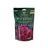 David Austin Rosendünger - Rose Food - 600g - Organisch-mineralisch mit Langzeitwirkung - Einmalige Anwendung pro Saison - für etwa 20 gesunde, kräftige Rosen - von Garten Schlüter