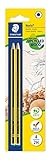 STAEDTLER Bleistift Noris 120, Made from Upcycled Wood, Härtegrad 2H, Rutschfeste Soft-Oberfläche, hohe Buchfestigkeit, hohe Qualität Made in Germany, Blisterkarte mit 2 Stück, 120-4 BK2D