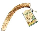 Dehner Best Nature Hundesnack, Kaustange, Geweih vom Rothirsch, ganz, L