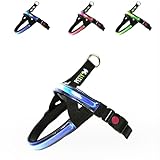 Norwegisches LED-Hundegeschirr (Blau, 2XS)