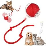jwogngls Interaktives Katzenspielzeug, Interaktives Hundespielzeug Ball, Interaktives Katzenspielzeug Elektrisch,Intelligentes Katzenspielzeug 360° Automatisch Katzenspielzeug für Katzen (Rot)