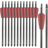 WANVZME 12 Stück 7,5' Carbon Armbrust Bolzen Pfeile für Mini Armbrust Jagd und Zielpraxis,15' Armbrustbolzen Armbrustpfeile mit 2' Flügel schraubel Ersatz Pfeilspitze Spitze (7.5zoll, rot)