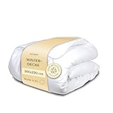 WENDRE Warme Winterdecke 200x220 cm – 300 GSM Dicke Decke mit Duo-Lagen-Füllung aus Antiallergener Mikrofaser – Winter Bettdecke 200x220– Oeko-TEX und ISO Zertifiziert – Maschinenwaschbar bei 40°C