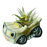 Sukkulenten Pflanzgefäß, Sukkulente Gartentöpfe | Außen Innen Harz Sukkulenten Pflanzer, Design Pflanzer mit Ablaufloch für Terrasse Hof Gartenschreibtisch