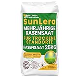 Rasensamen Trockenrasen Schnellkeimend 25 kg für 1000 m² – Trockenresistenter Grassamen für Sonnige Flächen – Nachsaat im Frühling, Selbstregenerierend – Dürreresistenter Rasen