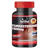 Fairvital | Turkesterone 1500mg - 90 Kapseln - natürlich aus Ajuga turkestanica - Active Sports - qualitätsgeprüft und hochdosiert - 100% vegan - Made in Germany