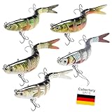Cabertary 5 Stück Angelköder, Bass Forelle Angeln Hecht Köder, Lebensechte Angel Köder für Süß Und Salzwasser Angeln, Barsch Köder Geschenk für Männer, Home Fishing Gear, aus Hochwertigem ABS