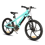 JOYSTAR 20 Zoll Elektrofahrrad für Kinder und Jugendliche ab 7 Jahren mit 250W bürstenlosem Motor, 6-Speichen-Fahrradreifen, grün