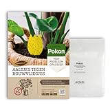 Pokon Aaltchen gegen Trauerfliegen - Trauerfliegen bekämpfen - Natürliche Bekämpfung - Ergebnisse innerhalb von 2 bis 3 Tagen - Nematoden Nematoden (25 ml Nematoden für +10 Pflanzen)