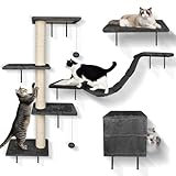 MASTERTOP Kletterwand Katzen,GroßB Katzen kletterwand Set 10-Teiliges,Katzenmobel mit Katzenbrucke, Katzenbett, Katzenkletterpfosten,Katzenhöhle,Kletterwand fur Innenbereich Spielen,Ausruhen,Schwarz