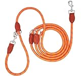 Hundeleine 3m für Große Mittelgroße Hunde mit Reflektierend Führleine Verstellbare Nylon Doppelleine aus Nylon mit 2 Karabinerhaken 3 Ringen14mm Orange