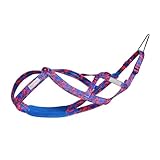 Colcolo Hunde-Laufgeschirr, Zuggeschirr, Geschwindigkeitstraining, Sport, Profi, Schlittengeschirr, Rosenrot M