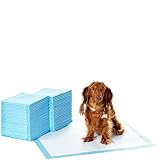 Amazon Basics Strapazierfähige Trainingspads für Hunde und Welpen, auslaufsicheres Design mit schnell trocknender Oberfläche, 50 stück (1 erPack), Blau/Weiß