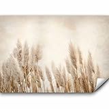 murando - Vlies Fototapete Pampasgras 350x256 cm - Foto Tapete Schlafzimmer Wohnzimmer Moderne Vliestapete XXL Wandtapete Motivtapeten 3d Effekt Wand Dekoration - Trockenblumen b-A-10095-a-a