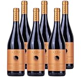 Luna Argenta Negroamaro Primitivo Puglia IGT- Halbtrockener, aromatischer Rotwein aus Italien (6 x 0,75l)