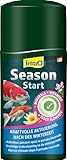 Tetra Pond SeasonStart - aktiviert den Gartenteich nach der Winterzeit, enthält wichtigen Mineralien für Fische und Pflanzen, 250 ml Flasche