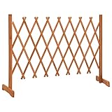 Kavolet Garten Rankzaun Orange 150x80 cm Massivholz Tanne Ausziehbar Rankgitter Holz Sichtschutz Terrasse Sichtschutz Zaun Erweiterbar Rankhilfe Spalier Pflanzengitter Blumengitter Holzgitter