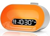 Bluetooth Lautsprecher Lichtwecker Wake Up Light mit Sonnenaufgang Simulation,UKW-Radio,2 Alarme, Snooze, 8 Klingeltöne, Sleep Timer,16-farbiges Stimmungslicht