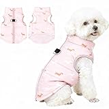 Asmea Hundemantel Winter Hundejacke Warme Hundemantel für Kleine Hunde Winddichte Hundeweste mit Geschirr Loch Schwach Wasserdicht Weihnachten Hundejacke für Chihuahua Dackel Blau L
