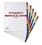 5er Set XXL 12-teiliges Register/Trennblätter extra breit aus buntem stabilem PP, DIN A4+ mit Deckblatt aus stabilem Papier zum Beschriften. Trenn-Blätter überbreit für die Ordner-Organisation im Büro