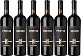 K+K Kirnbauer Forever 2019 (6 x 0.75 l)