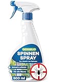 GEROBUG Anti Spinnenspray 500 ml - Spinnenabwehr Spray mit Langzeitwirkung - Mittel gegen Spinnen für Innen und Außen - Spinnen vertreiben im Haus & Garten