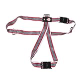 Beaupretty Gepäckgurte Reisegurt für Gepäck über dem Griff Packgurt mit Zahlenschloss Koffergurt mit Zahlenschloss Campingausflug Bindegürtel Koffergurt mit Griff Reisezubehör Polyester