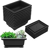 Onmancy 10 Packungen Bonsai Trainings Töpfe mit Tablett Kunststoff Bonsai Pflanzen Topf für Garten Wohnen Balkon 16,5X12Cm