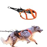 Non-Stop dogwear Freemotion Harness 5.0 | Hunde-Geschirr für alle Sportarten, Größe:Größe 6