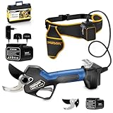 [Bestes Preis-Leistungs-Verhältnis] SWANSOFT PRU45 Akku Astschere, 45mm 25V 4+4Ah Gartenschere Astscheren Leistungsstarke Elektrische Elektrogartenscheren Für Präzisen Baumschnitt Rosenschnitt