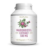 Mariendistelextrakt 500 mg Kapseln | 400 mg Silymarin (80%) pro Kapsel) | 120 Kapseln | silybum marianum | hoch dosiert | Made in Germany