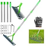 Vertikutierer Rechen mit Stiel 170cm, Metall Schneidrechen Garten, Abnehmbar, Verstellbarer Vertikutierrechen, Handvertikutierer, Vertikutierer Rechen, Vertikutierharke für Garten, Hof, Rasen