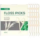 Zahnseide-Sticks - Natürliche und Vegane Zahnstocher, Umweltfreundliche Zahnstäbchen, Nachhaltige Plektren (100 Stück)